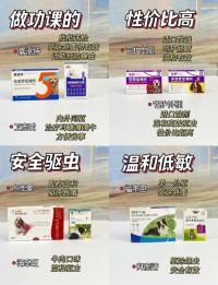 宠物狗驱虫计划：体内外驱虫时间，驱虫药选择​