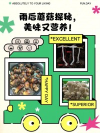 为什么雨后蘑菇大量生长？真菌生态学机制
