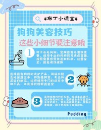 狗狗毛发护理：洗澡频率、梳毛技巧，预防打结​